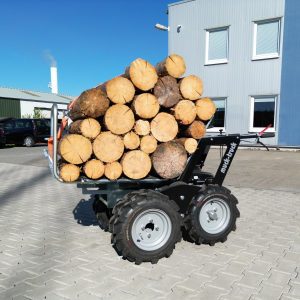 MoritzmitHolz